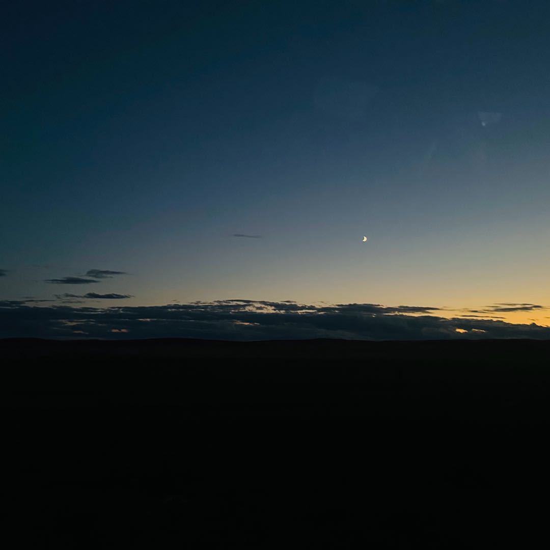 热心围观市民文老板